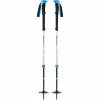 Black Diamond Expedition 2 Pro Ski Poles