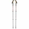 Black Diamond Trail Ergo Cork Trekking Poles picante