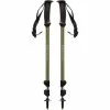 Black Diamond Trail Explrr Trekking Poles burnt olive