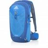 Gregory Miwok 18 Backpack Men reflex blue