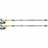 LEKI Cressida FX Carbon Trekking Poles brownmetallic-mint-chocolate brown metallic