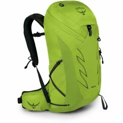Osprey Talon 26 Backpack Men limon green