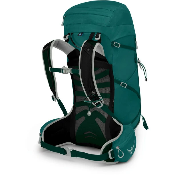 Osprey Tempest 30 Backpack Women jasper green 2 Osprey Tempest 30 Backpack Women jasper green - Image 2
