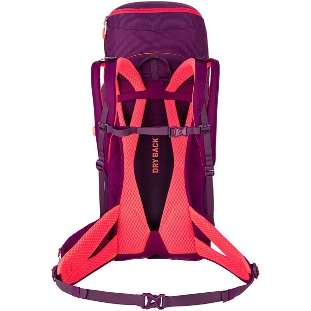 SALEWA Alp Trainer 30+3 Backpack Women dark purple 2 SALEWA Alp Trainer 30+3 Backpack Women dark purple - Image 2